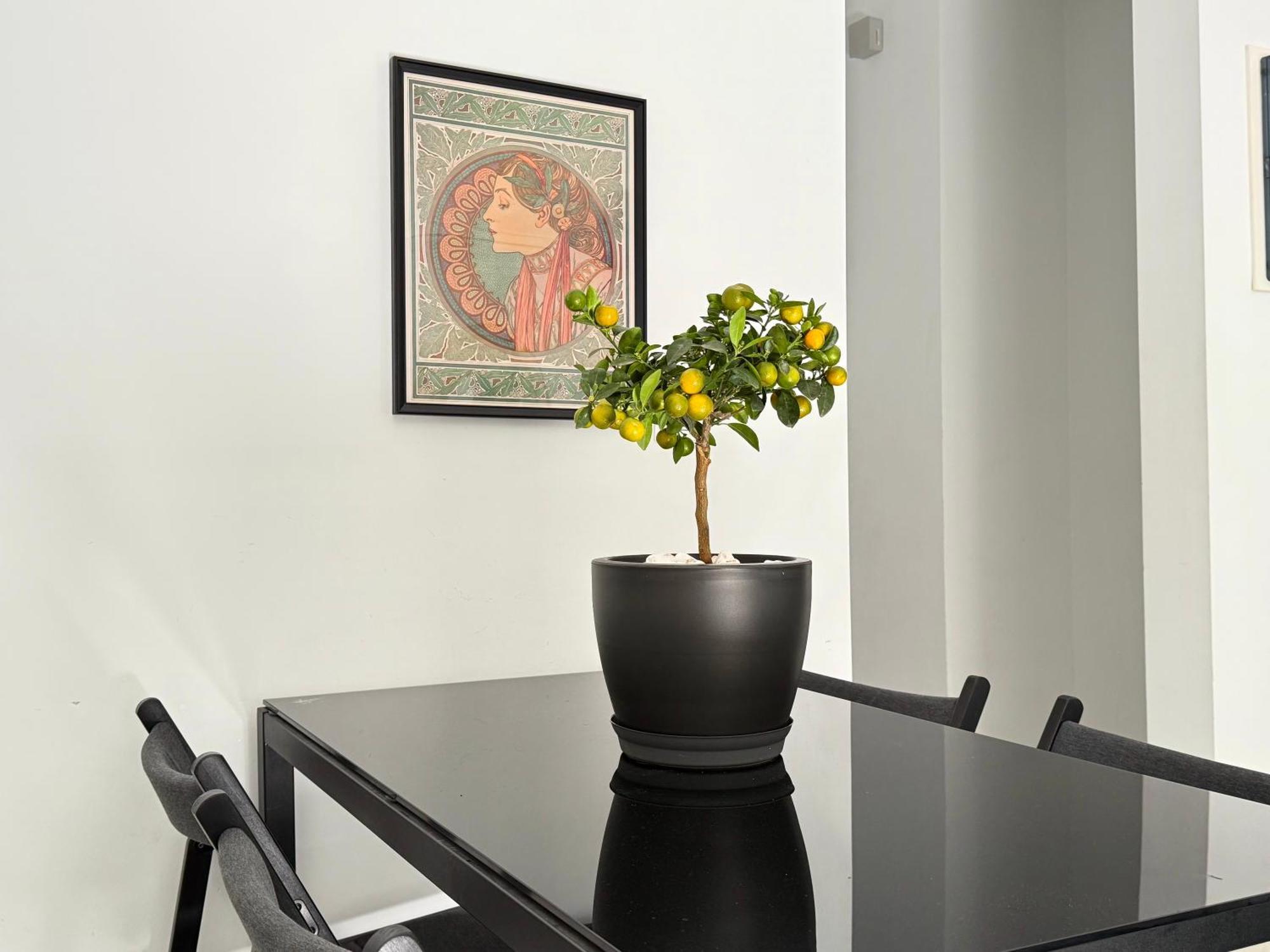P&P Boutique Apartments Athens Exterior photo